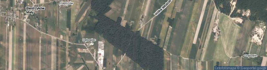 Zdjęcie satelitarne Wólka Włościańska ul.
